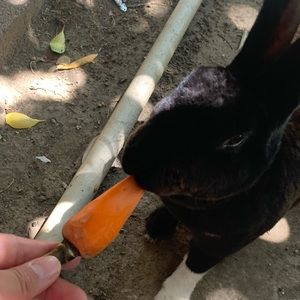 Meet your Posher, Cool